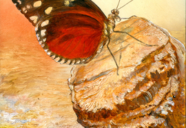 Scheff_evgeny_insects_05_2012_oil_on_wood_13x17_cm_28x23_cm