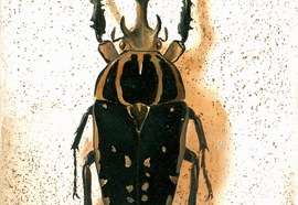 Scheff_evgeny_insects_09_2012_oil_on_wood_13x17_cm_28x23_cm_%d0%bd%d0%be%d0%b2%d1%8b%d0%b9_%d1%80%d0%b0%d0%b7%d0%bc%d0%b5%d1%80