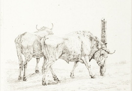 Gujardin_karel._beeches_at_the_leash._printed_xvii_century._etching._13_8x18_2_cm.