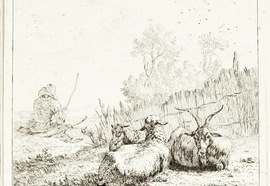 Gujardin_karel._beeches_at_the_leash._printed_xvii_century._etching._14_3x12_3_cm.