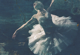 Tumblr_nn272mjzfy1svf6dqo6_r1_540