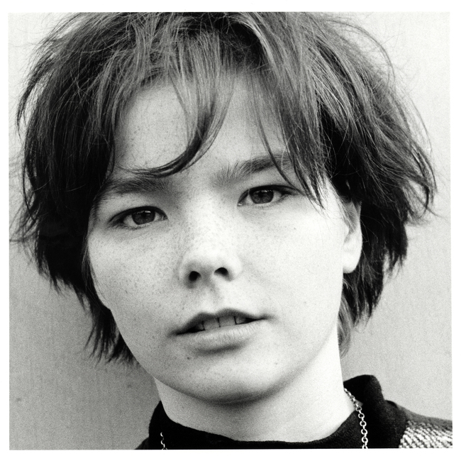 Bjork