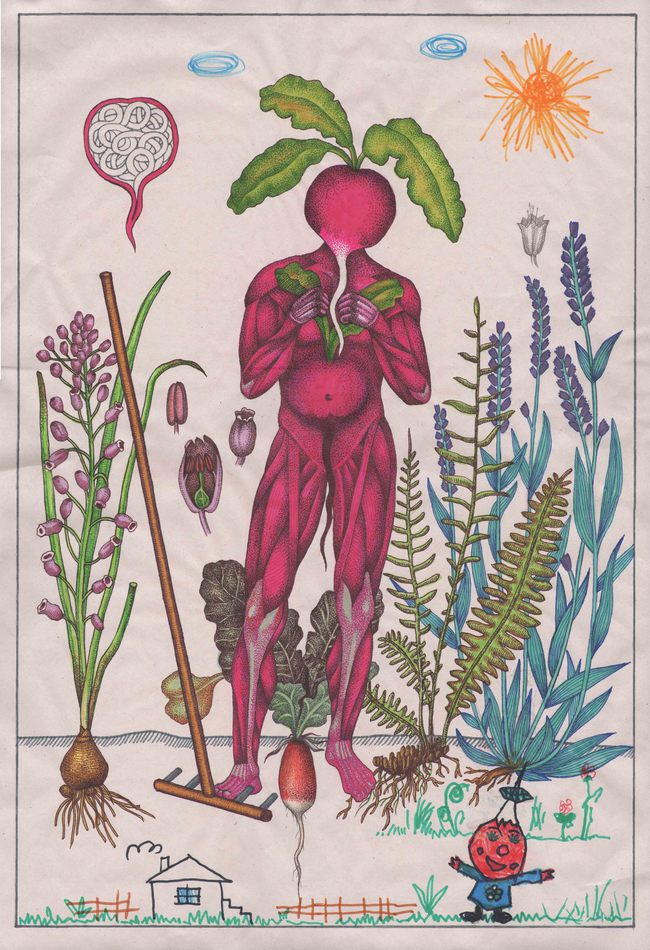Radicula Libertate