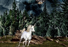 Olga_tobreluts_unicorn_2000_print_retouch_canvas_180x140_cm